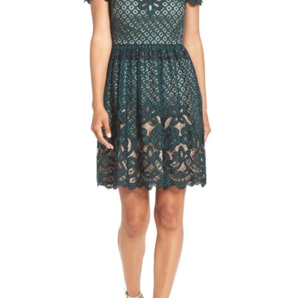Eliza J Lace Fit & Flare Dress GREEN Size 14